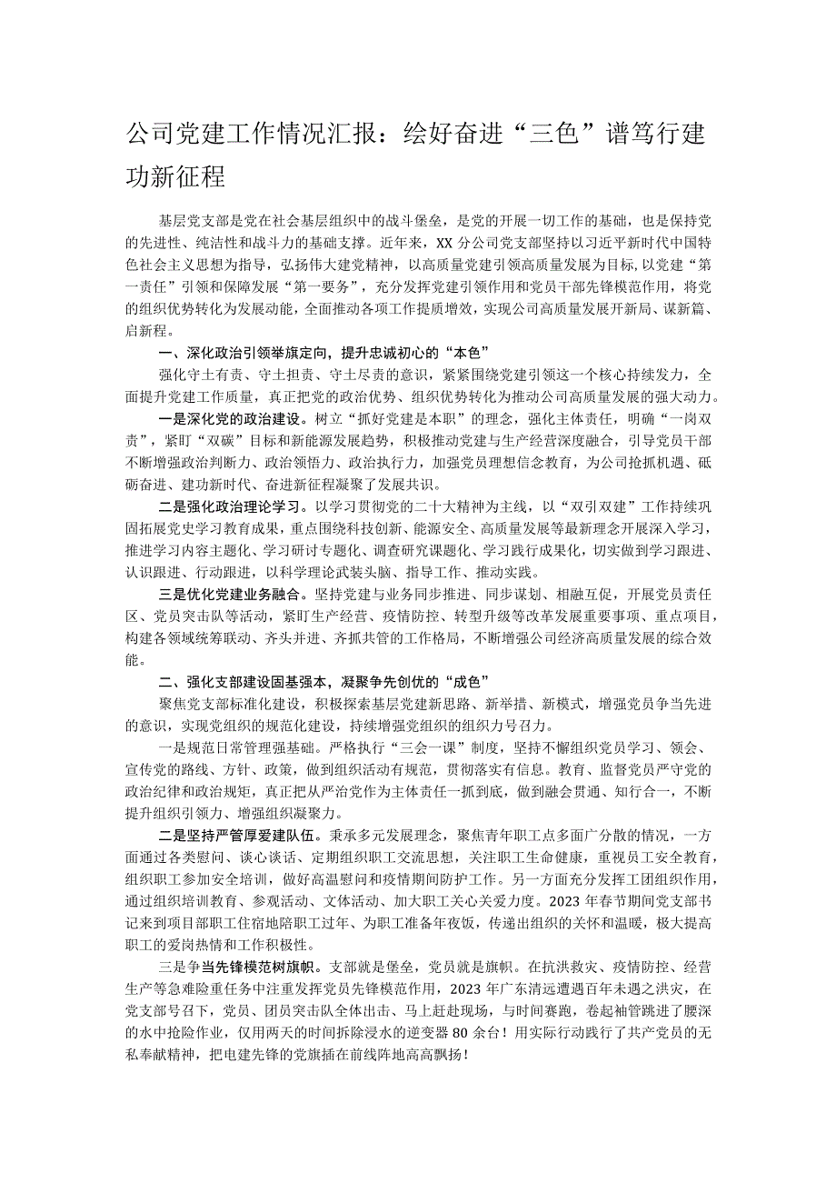 公司党建工作情况汇报：绘好奋进三色谱 笃行建功新征程.docx_第1页