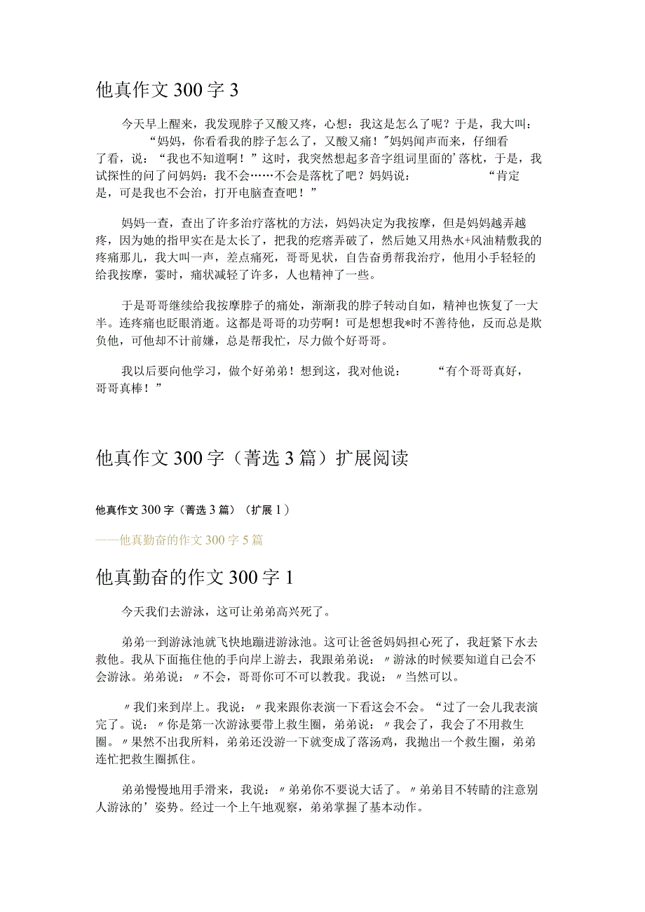 他真作文300字 3篇.docx_第2页