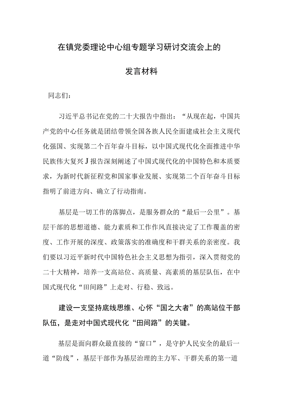 党组织2023年专题学习研讨交流会上的发言材料范文2篇.docx_第1页