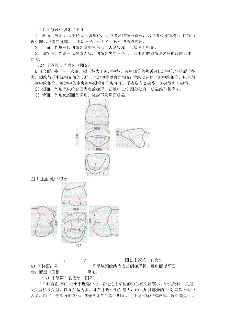 儿童口腔医学实验指导.docx_第2页