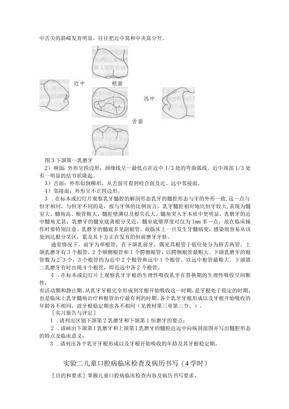 儿童口腔医学实验指导.docx_第3页