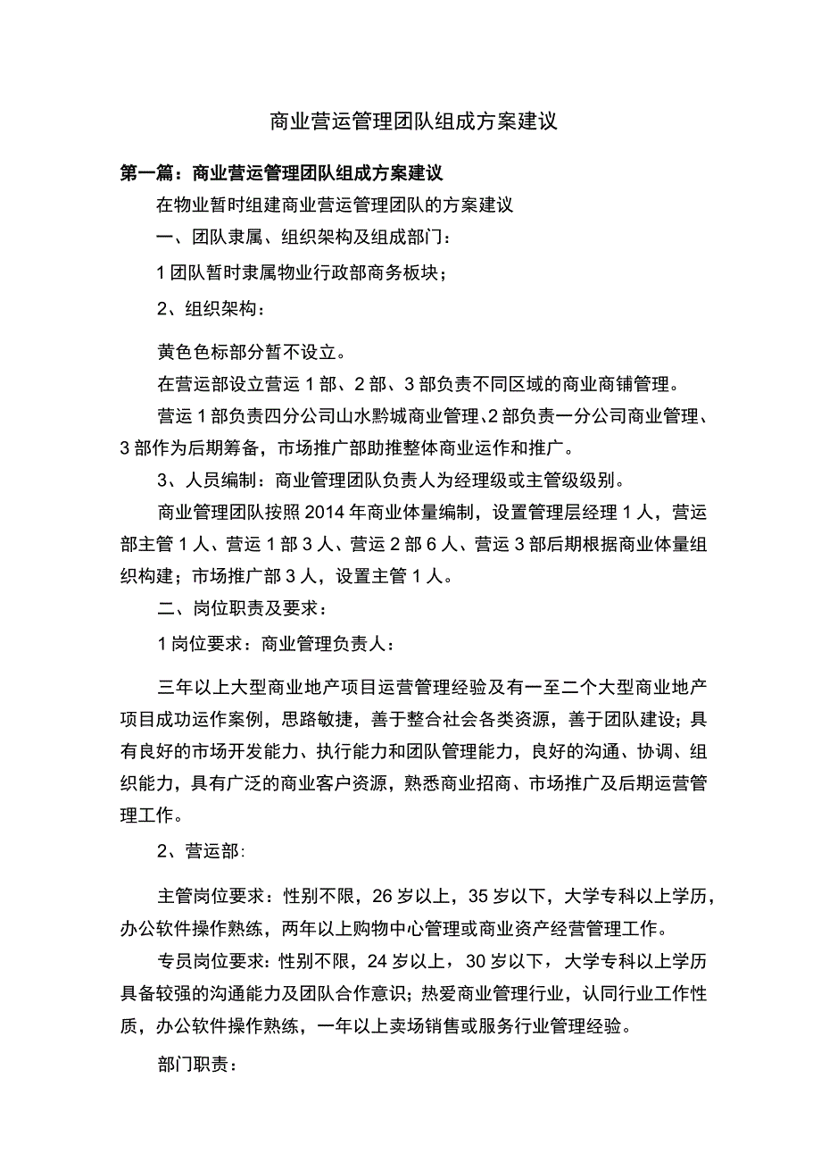 商业营运管理团队组成方案建议.docx_第1页