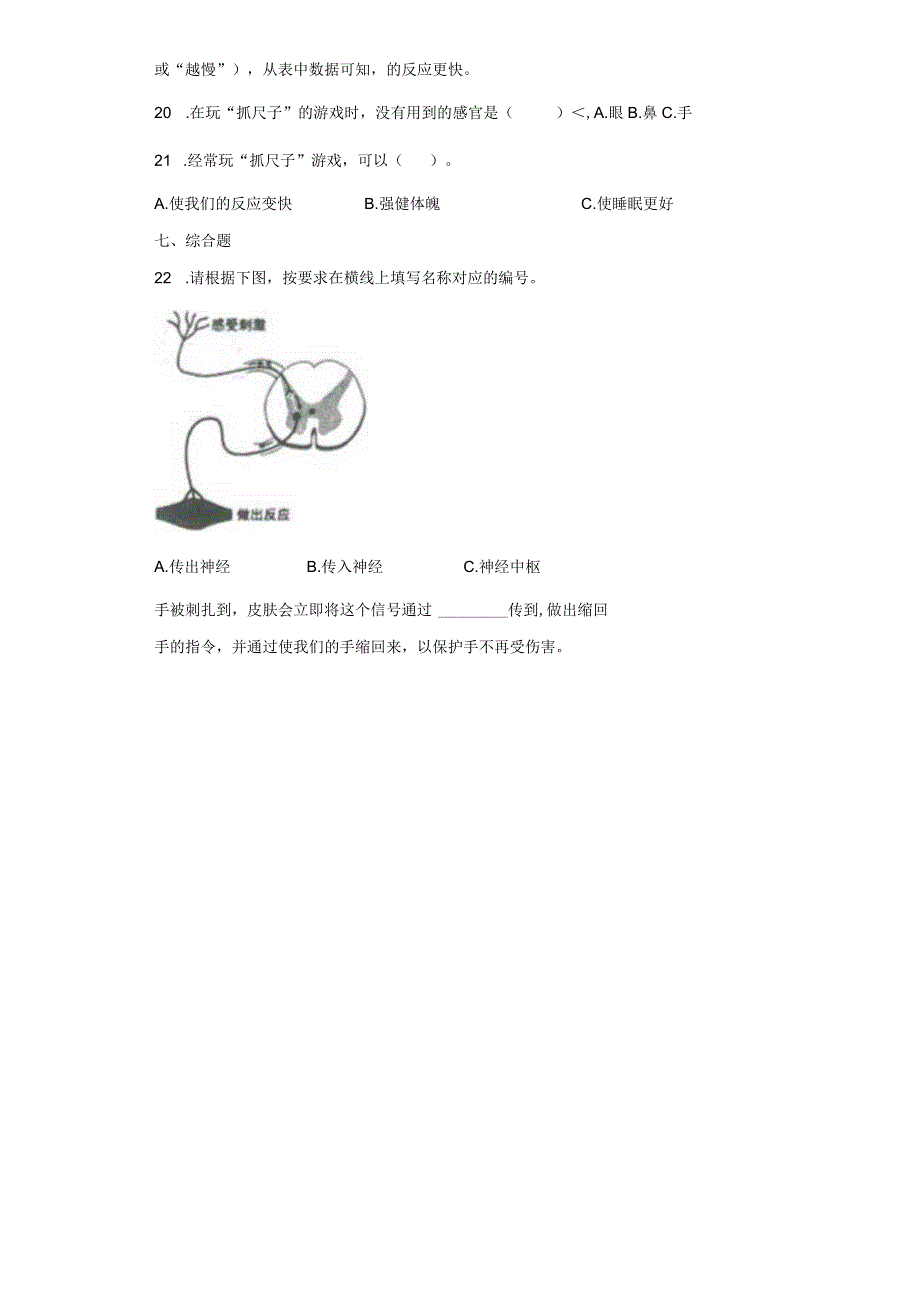 教科版五年级上册科学4５身体的联络员同步练习题含答案.docx_第3页