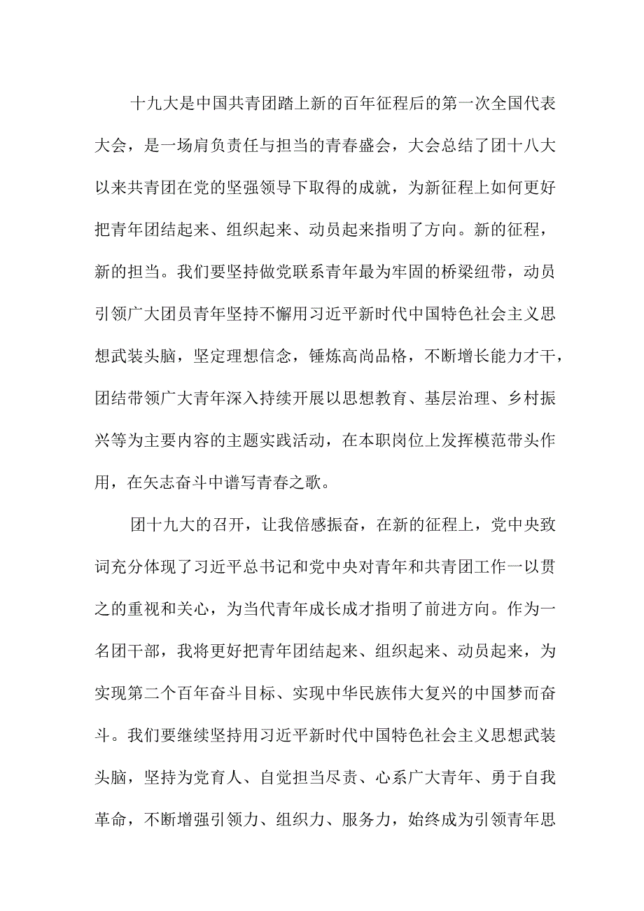 团委书记学习贯彻共青团第十九次全国代表大会精神心得体会 6份.docx_第2页