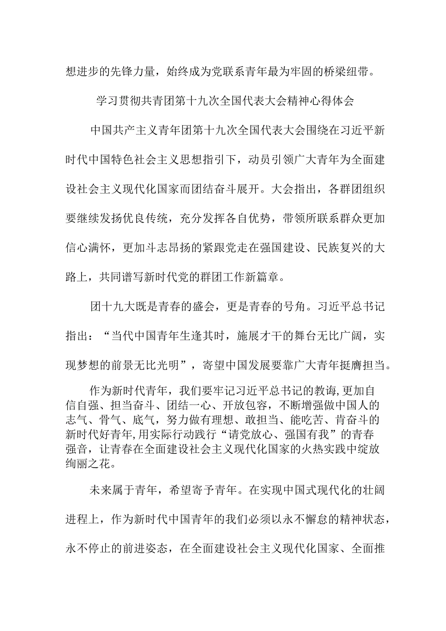 团委书记学习贯彻共青团第十九次全国代表大会精神心得体会 6份.docx_第3页