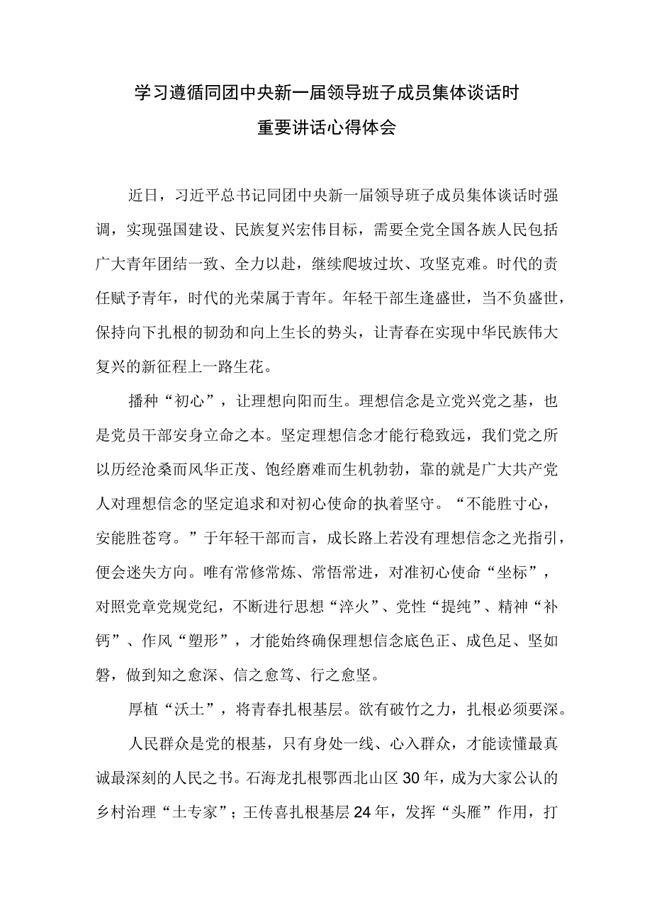 学习贯彻同团中央新一届领导班子成员集体谈话重要讲话心得体会3篇.docx_第1页