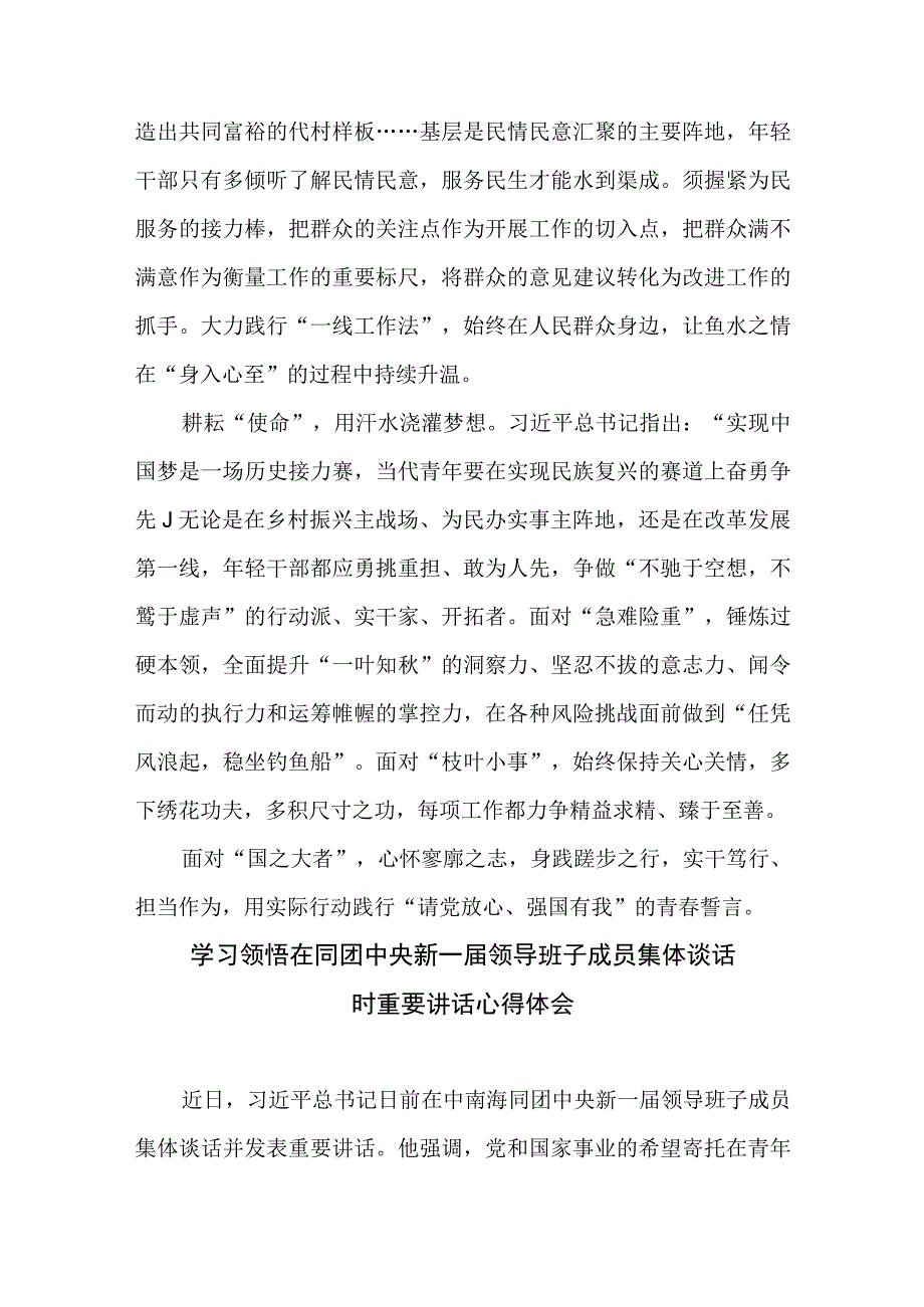 学习贯彻同团中央新一届领导班子成员集体谈话重要讲话心得体会3篇.docx_第2页