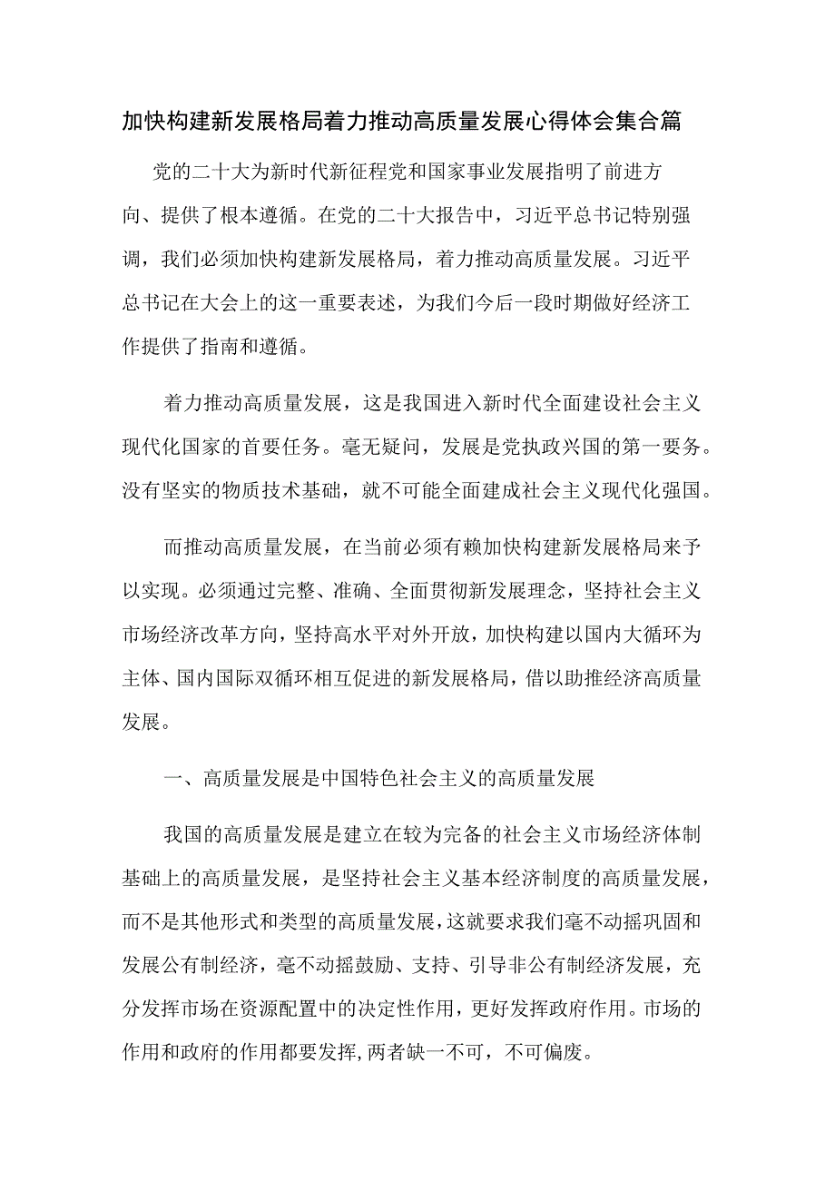 加快构建新发展格局着力推动高质量发展心得体会集合篇.docx_第1页