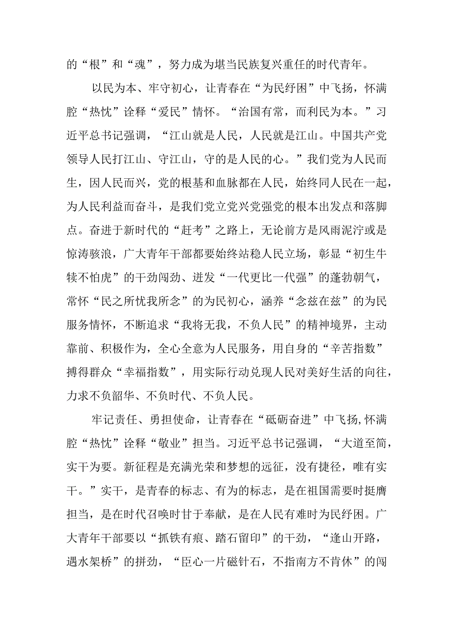 在中南海同团中央新一届领导班子成员集体谈话并发表重要讲话学习心得3篇.docx_第2页