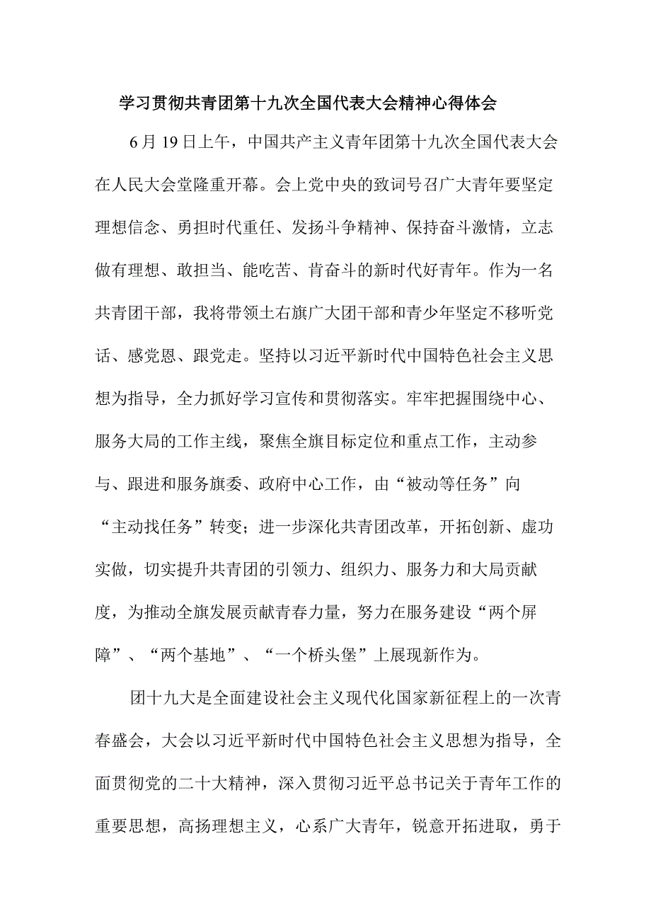 博士生学习贯彻共青团第十九次全国代表大会精神个人心得体会六篇 范文.docx_第1页