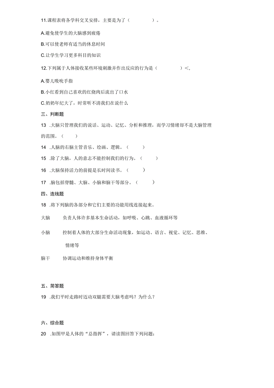 教科版五年级上册科学44身体的总指挥同步练习题含答案.docx_第2页