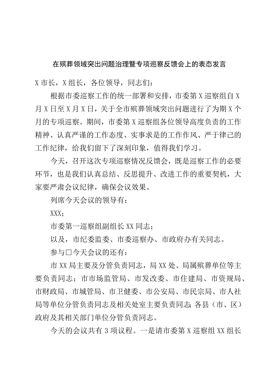 在殡葬领域突出问题治理暨专项巡察反馈会上的表态发言.docx_第1页