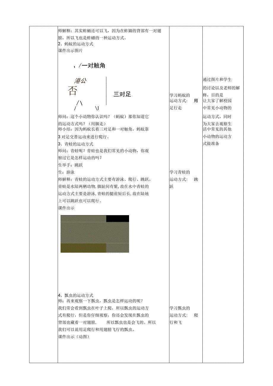 核心素养目标413《观察小动物》教案.docx_第3页