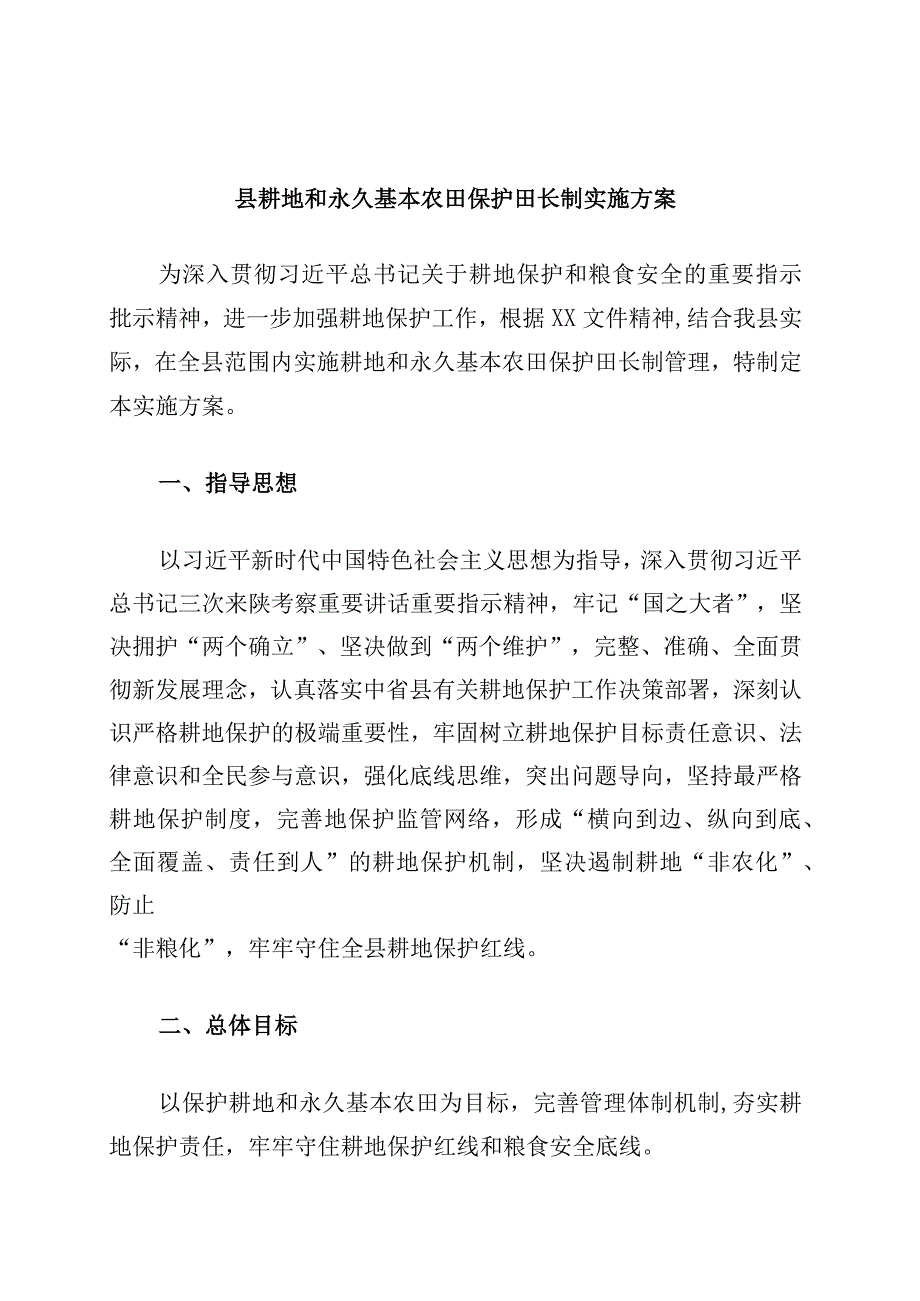 县耕地和永久基本农田保护田长制实施方案.docx_第1页