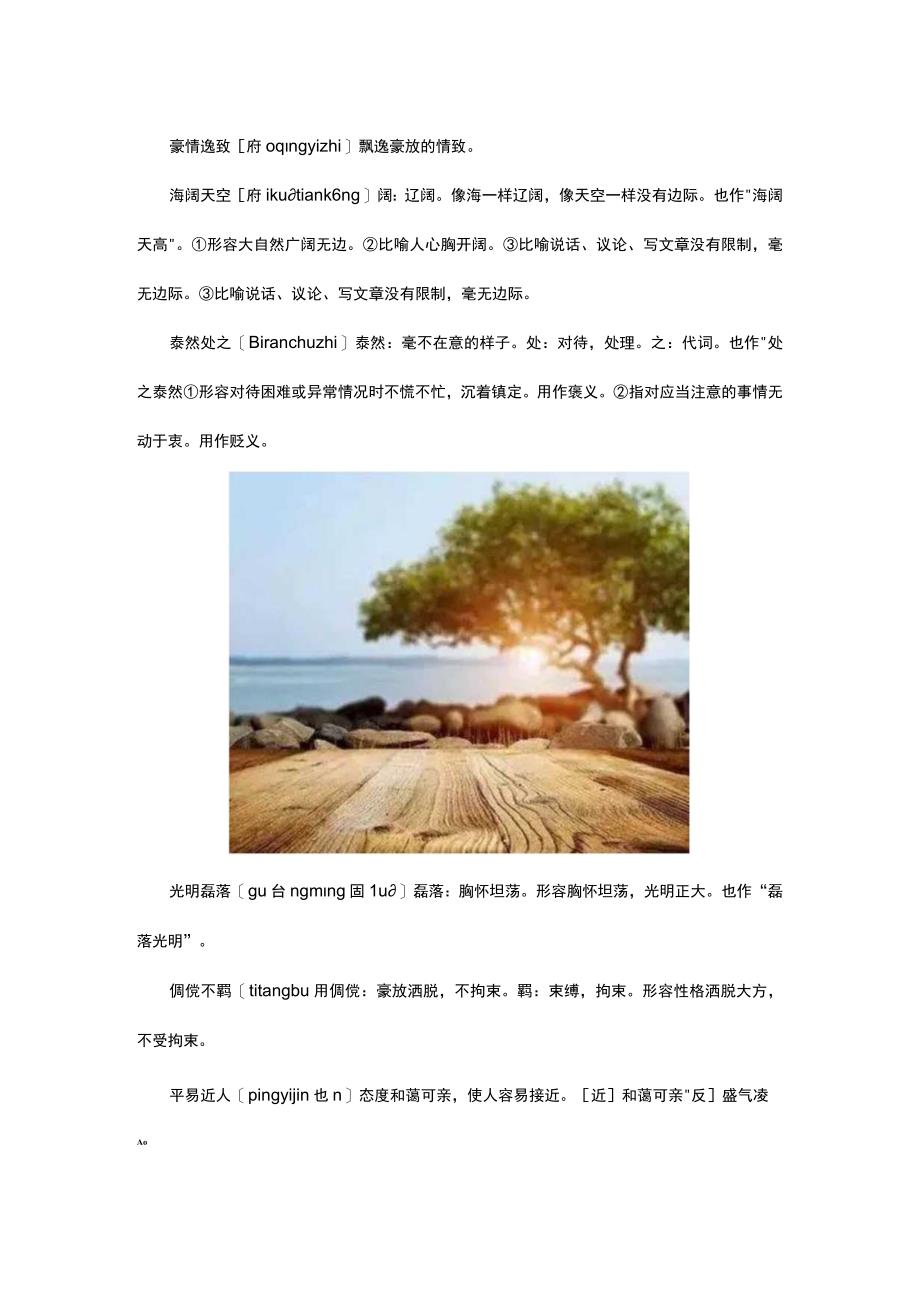 豁达大气洒脱的成语.docx_第2页