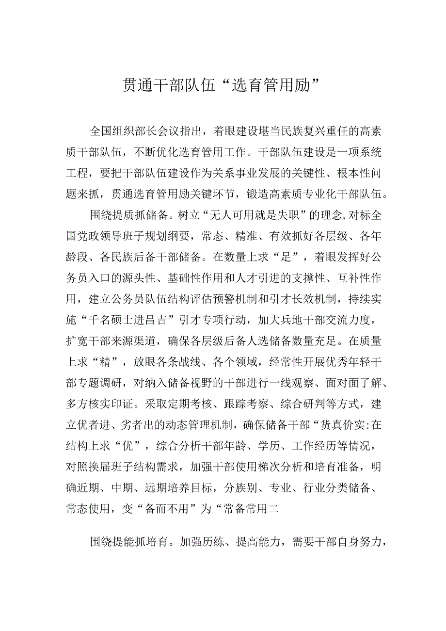 贯通干部队伍选育管用励.docx_第1页