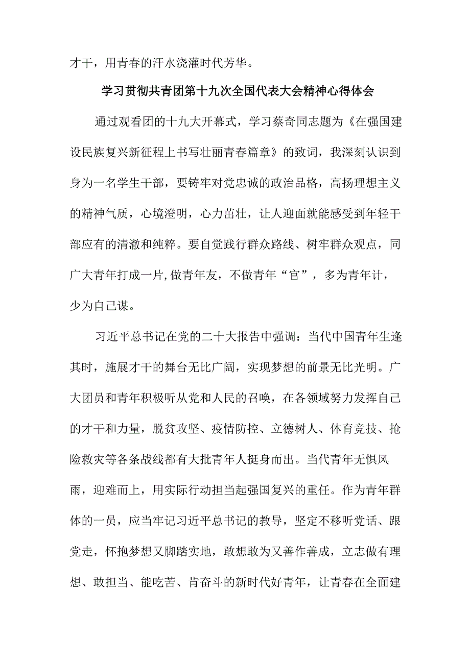 青年干部学习贯彻共青团第十九次全国代表大会精神心得体会 5份.docx_第3页