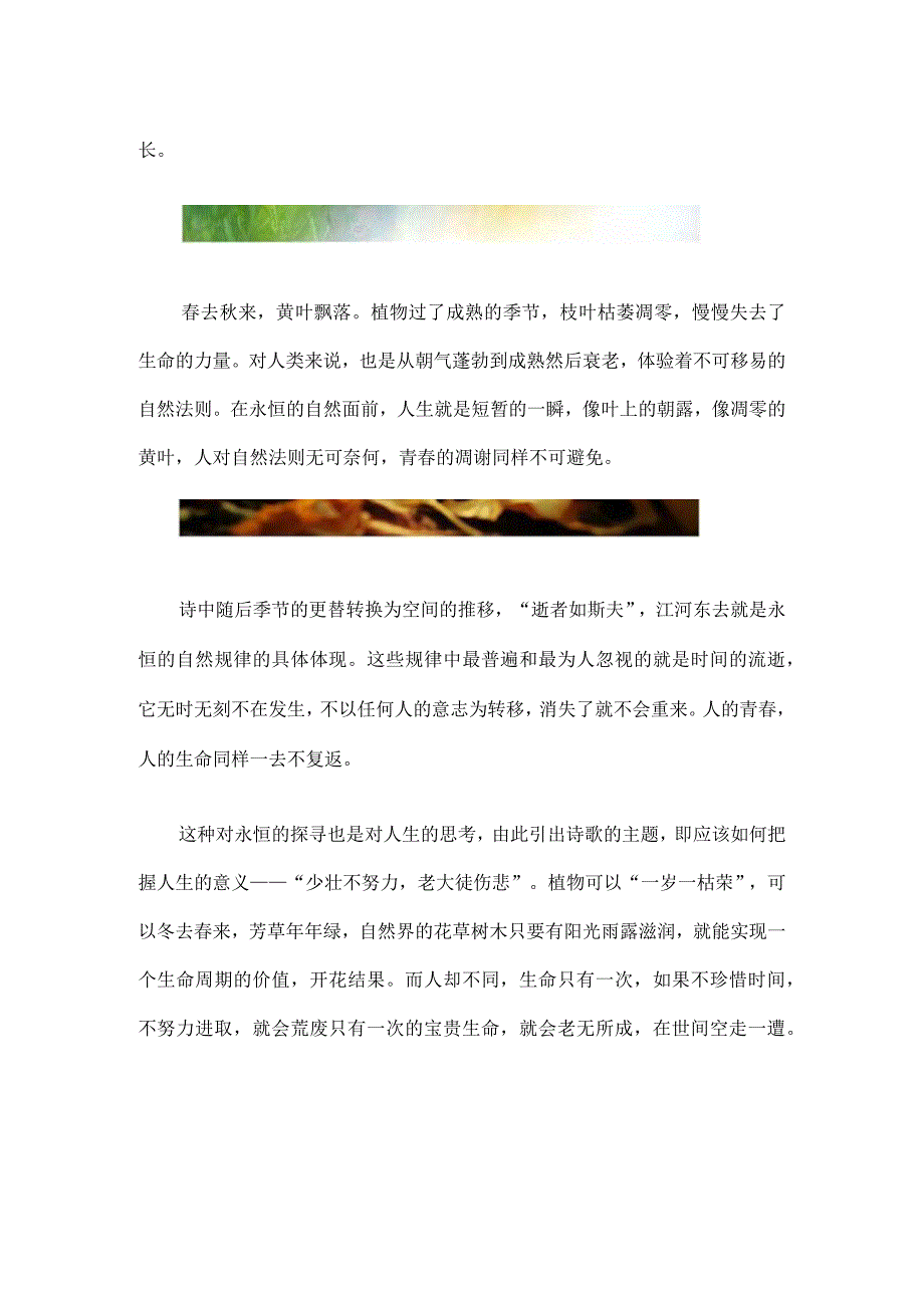 长歌行诗歌讲解.docx_第3页