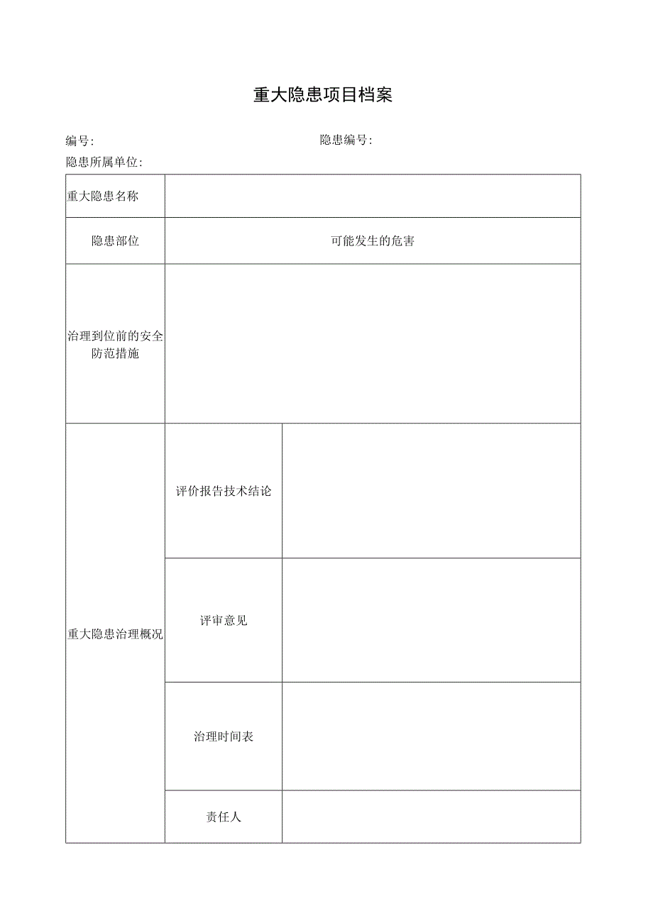 重大隐患项目档案.docx_第1页