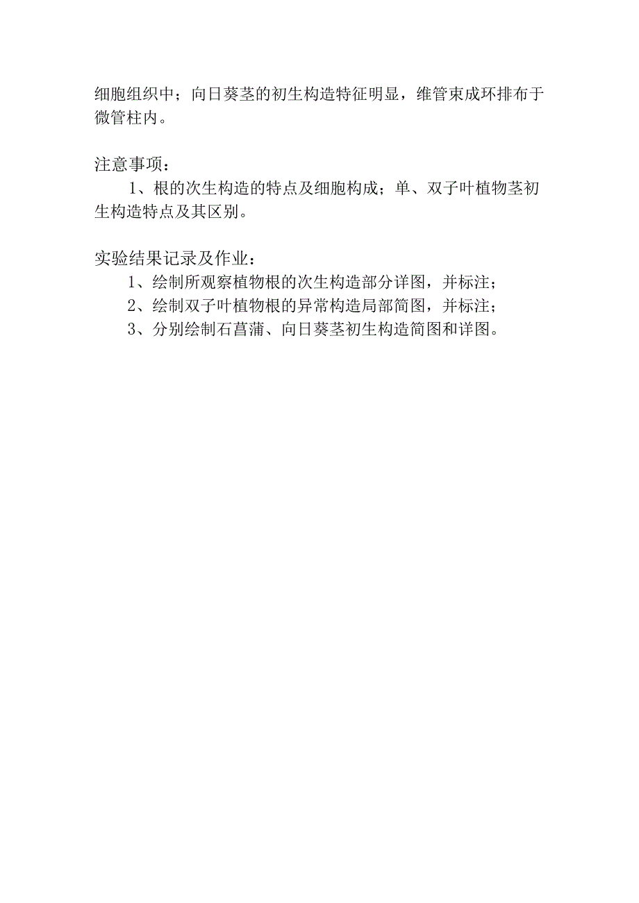 陕中大药用植物学实验指导06根的次生构造和异常构造茎的初生结构观察.docx_第2页