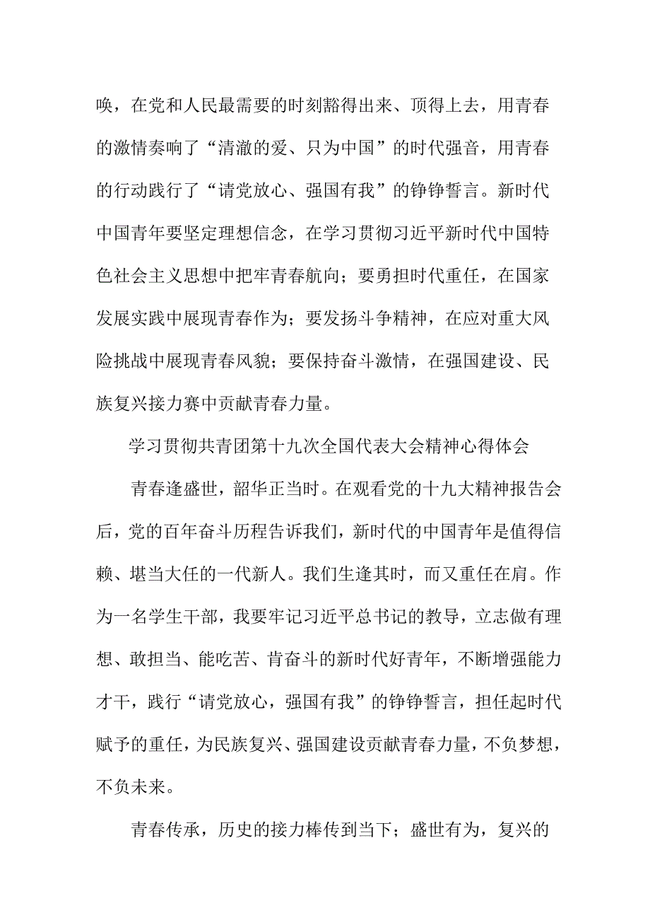 驻村书记学习贯彻共青团第十九次全国代表大会精神个人心得体会 5份.docx_第3页