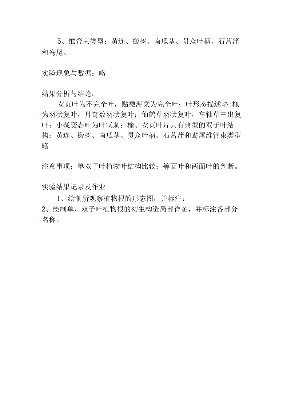 陕中大药用植物学实验指导08叶的形态结构及维管束类型观察.docx_第2页