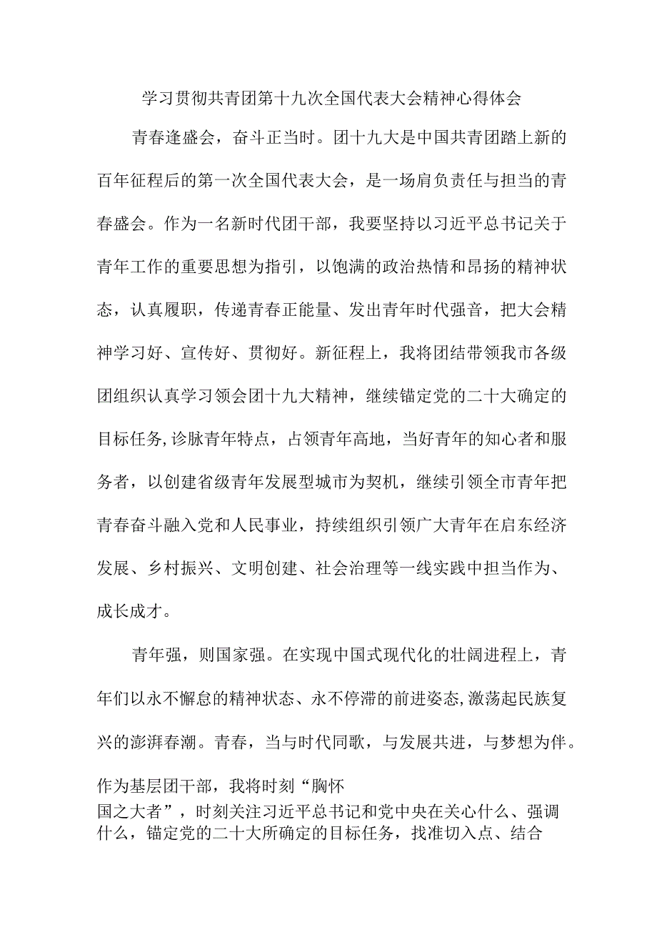 青年干部学习贯彻共青团第十九次全国代表大会精神心得体会 合计5份.docx_第1页