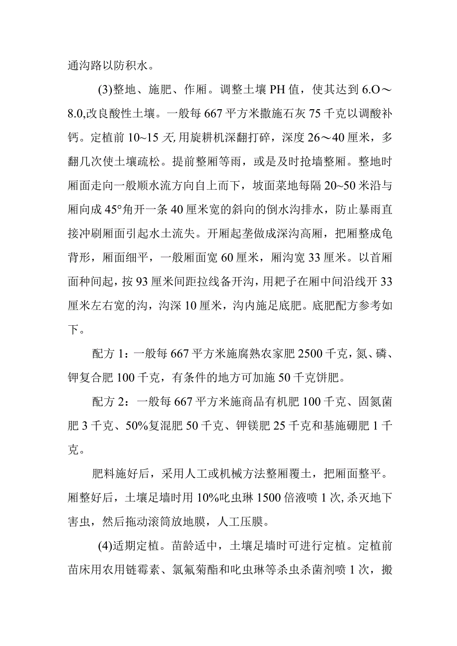 高山大白菜栽培技术有哪些.docx_第2页