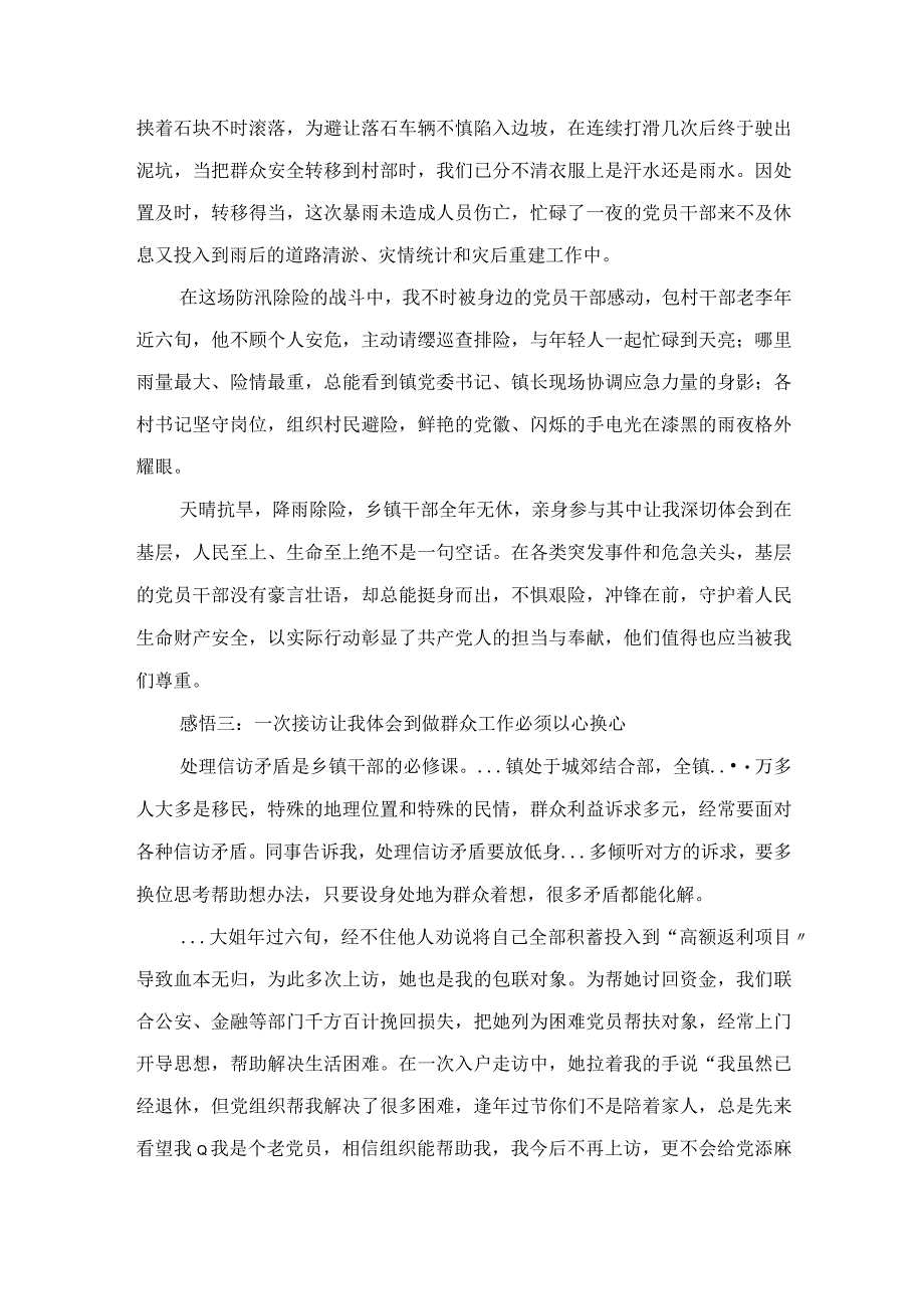 镇党委副书记挂职干部挂职锻炼心得体会.docx_第3页