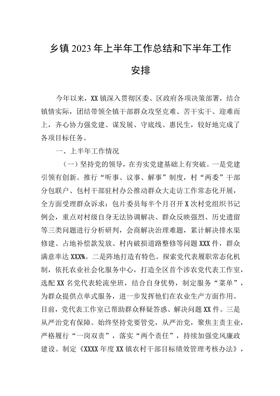 乡镇2023年上半年工作总结和下半年工作安排1.docx_第1页