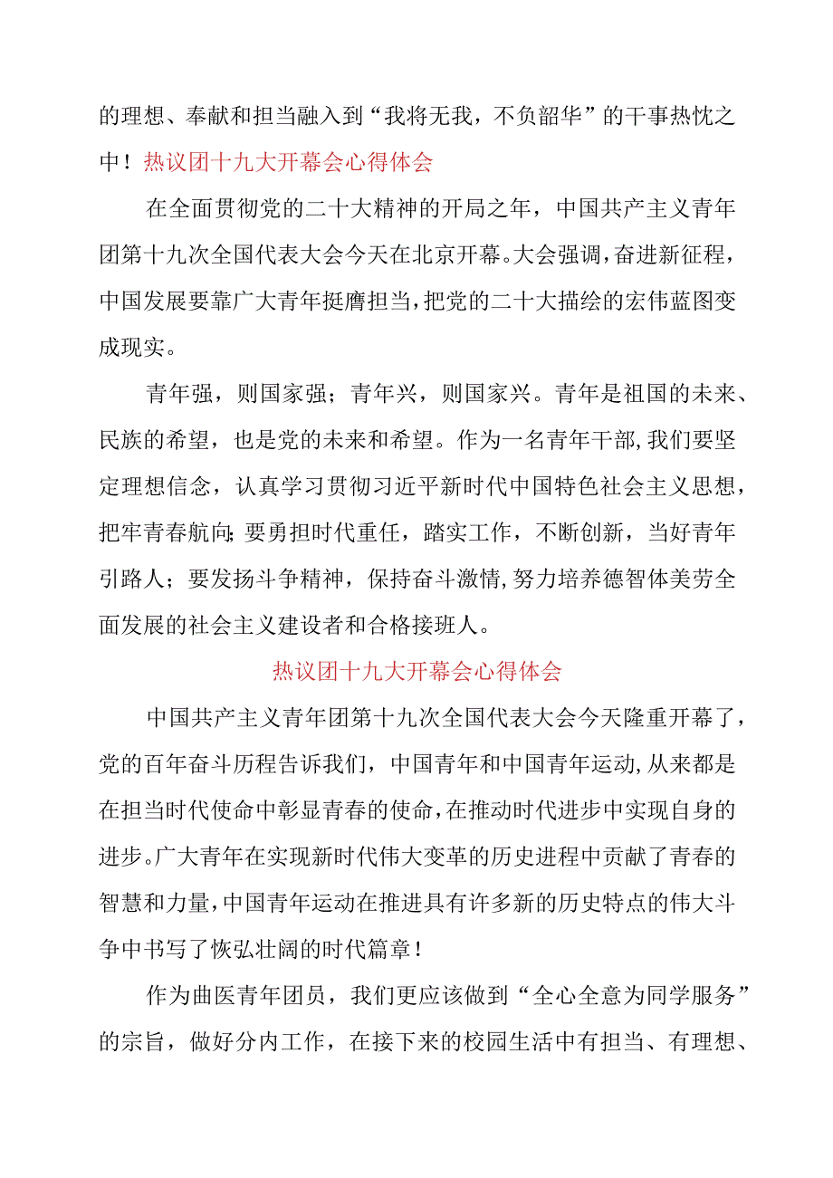 2023年热议团十九大开幕会心得体会.docx_第2页