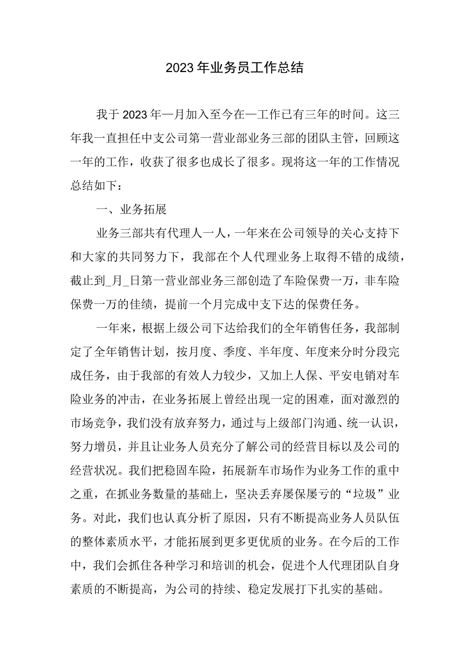 2023年业务员工作总结.docx_第1页