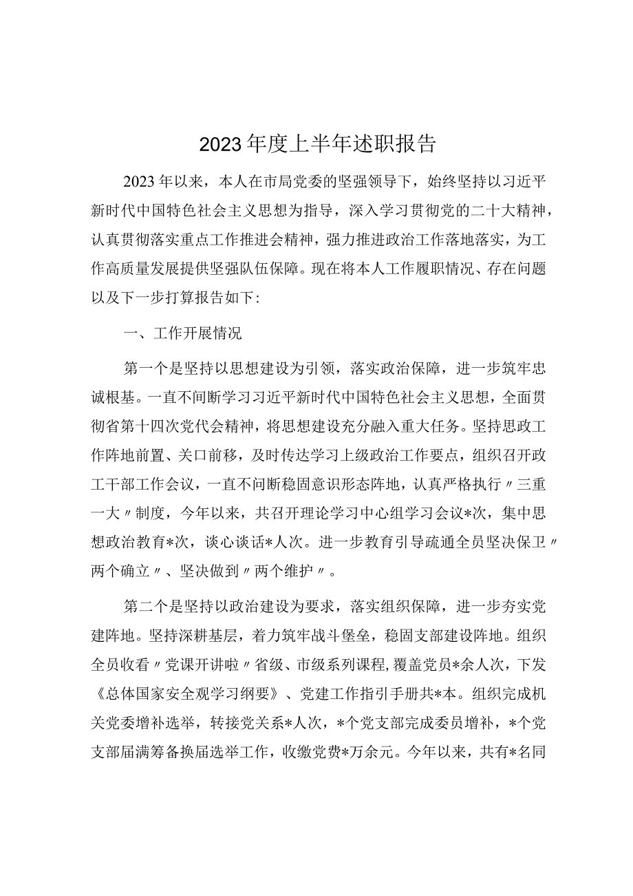 2023年度上半年述职报告.docx_第1页