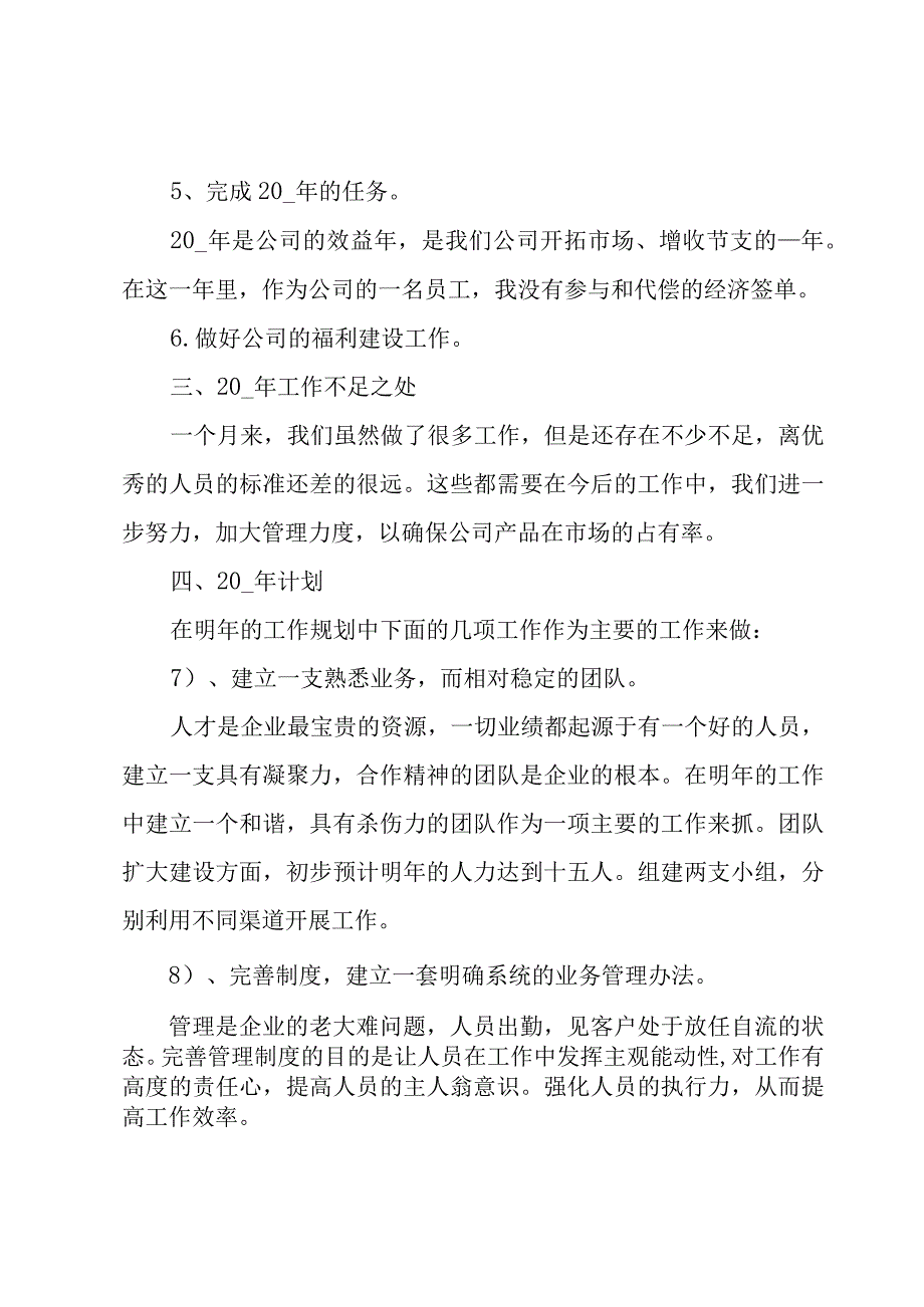 2023促销年度总结.docx_第2页