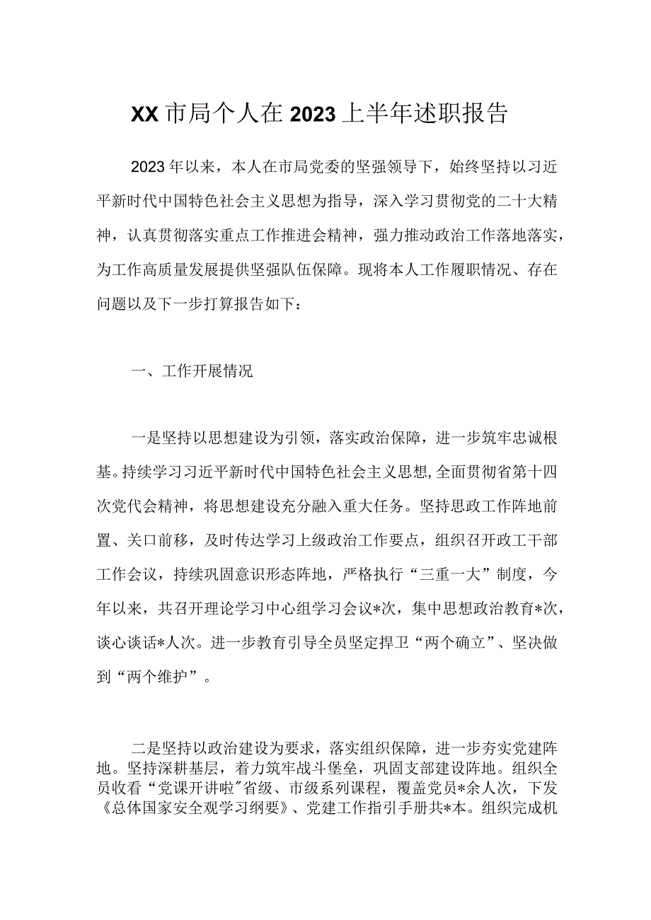 XX市局个人在2023上半年述职报告.docx_第1页