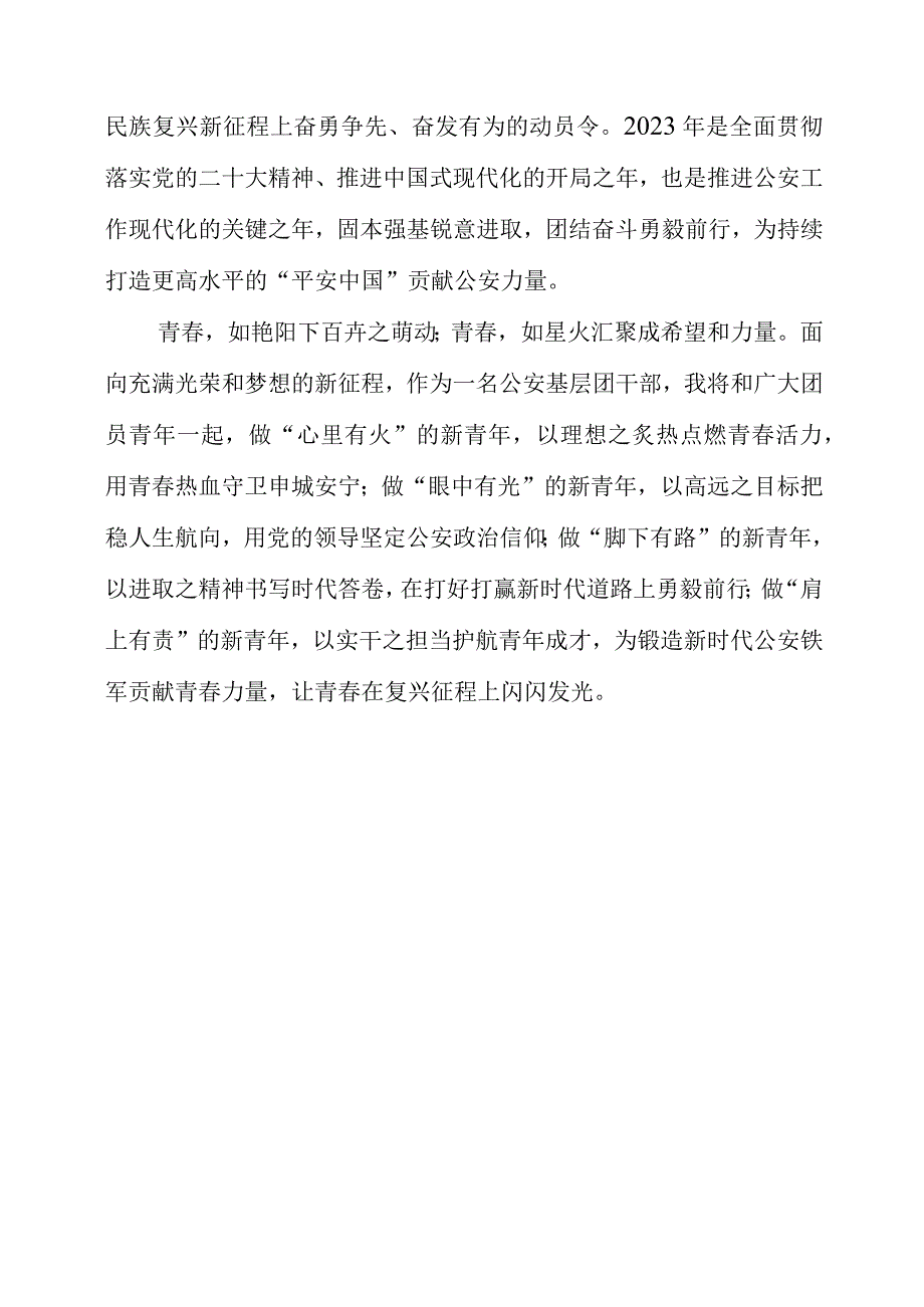 2023年公安基层团干部学习共青团十九大精神心得体会.docx_第3页