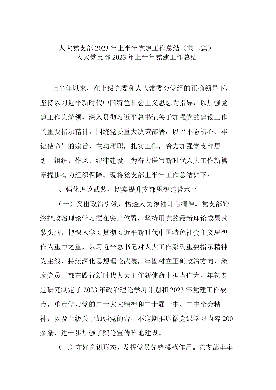 人大党支部2023年上半年党建工作总结共二篇.docx_第1页