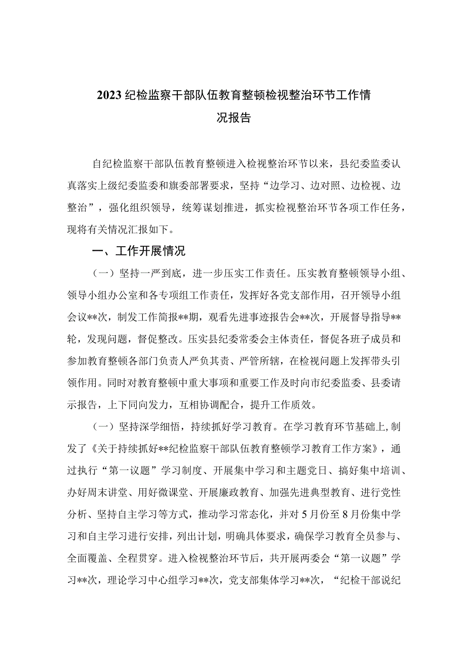 2023纪检监察干部队伍教育整顿检视整治环节工作情况报告精选10篇样例.docx_第1页