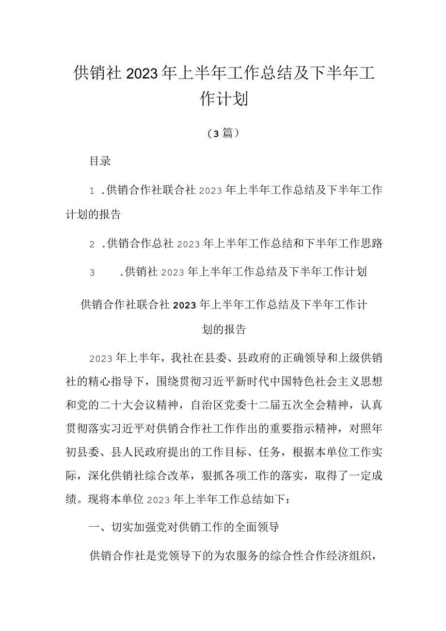 供销社2023年上半年工作总结及下半年工作计划3篇.docx_第1页