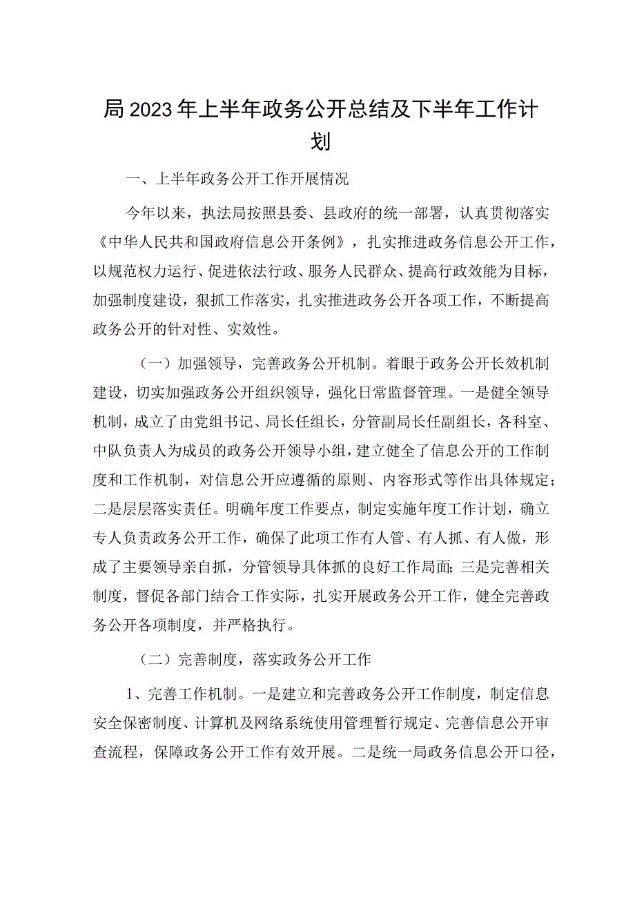 2023年上半年政务公开总结及下半年工作计划.docx_第1页