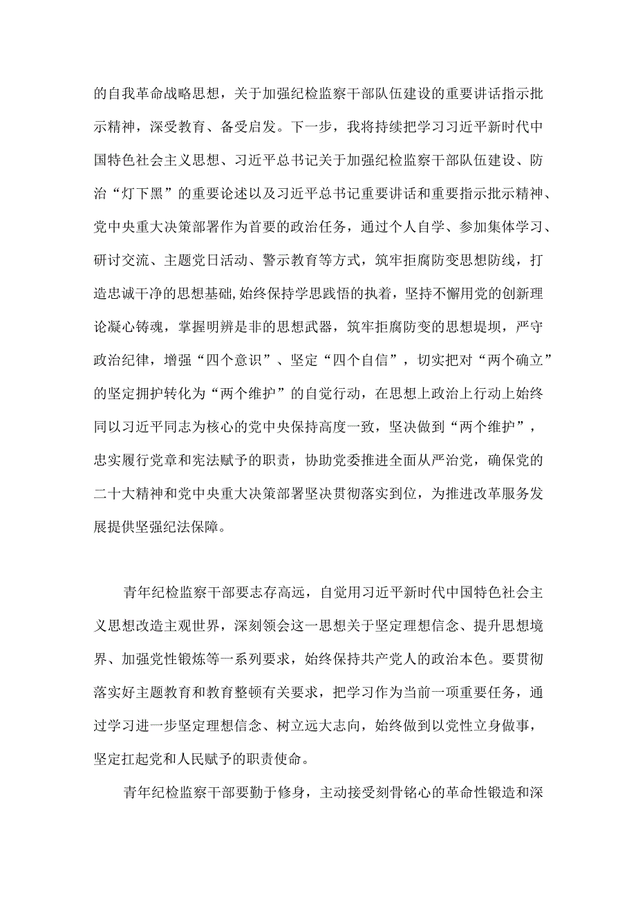 2023年纪检监察干部在纪检监察干部队伍教育整顿研讨交流会上发言提纲与县纪委监委领导关于纪检监察干部教育整顿自查报告两篇汇编.docx_第2页