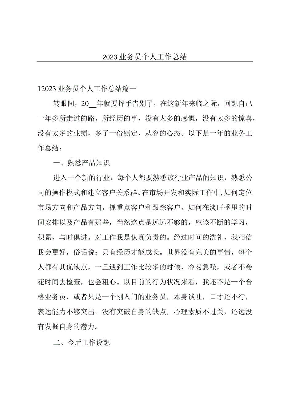 2023业务员个人工作总结.docx_第1页