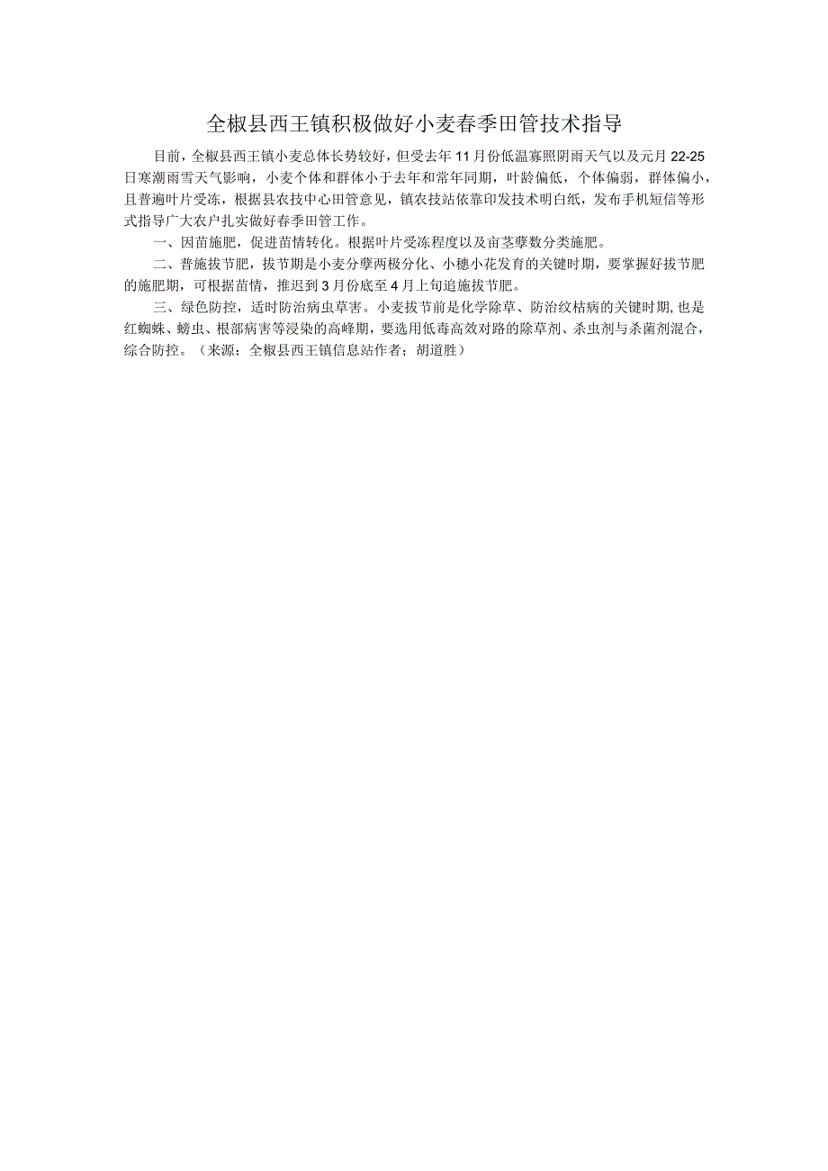 县西王镇积极做好小麦春季田管技术指导.docx_第1页