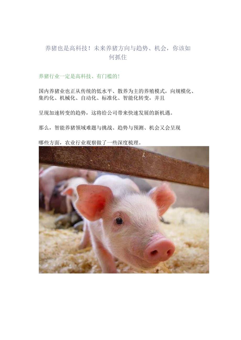 养猪也是高科技！未来养猪方向与趋势机会你该如何抓住.docx_第1页