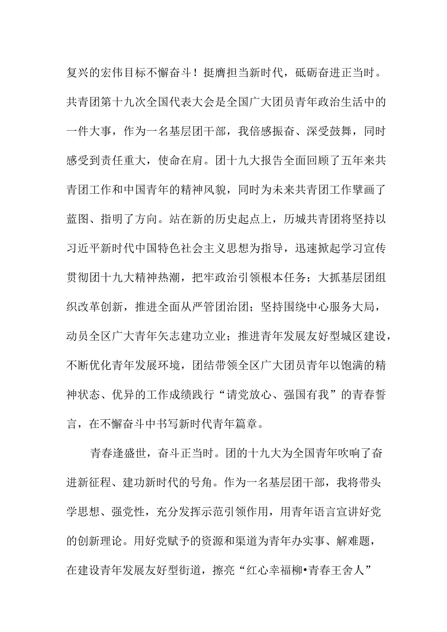 团委干部学习贯彻共青团第十九次全国代表大会精神个人心得体会.docx_第2页