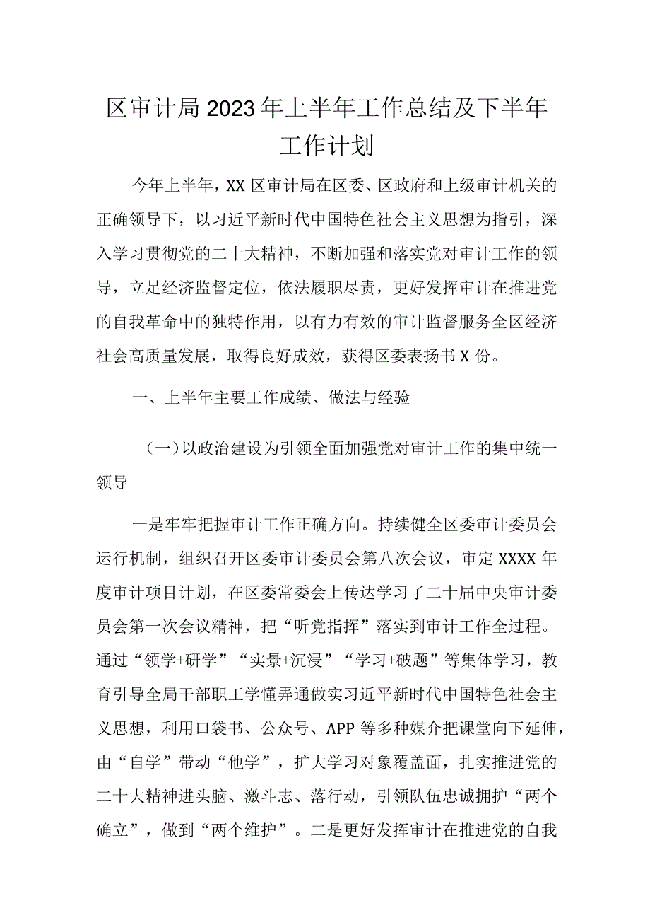 区审计局2023年上半年工作总结及下半年工作计划.docx_第1页