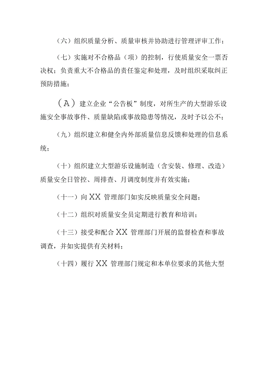 大型游乐设施质量安全总监职责.docx_第2页