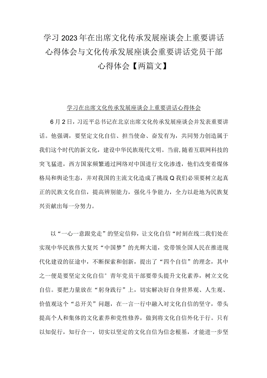 学习2023年在出席文化传承发展座谈会上重要讲话心得体会与文化传承发展座谈会重要讲话党员干部心得体会两篇文.docx_第1页