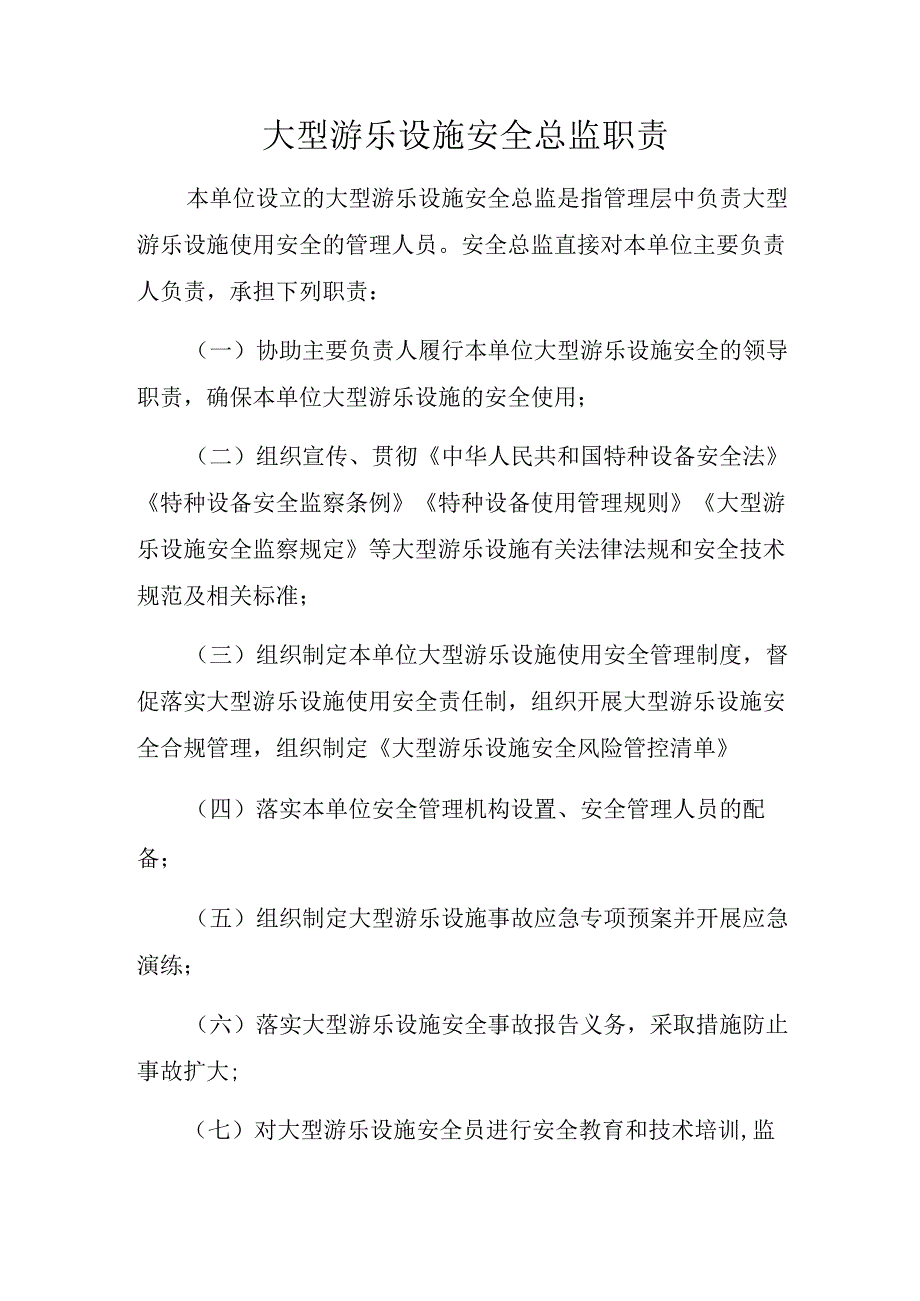 大型游乐设施安全总监职责.docx_第1页