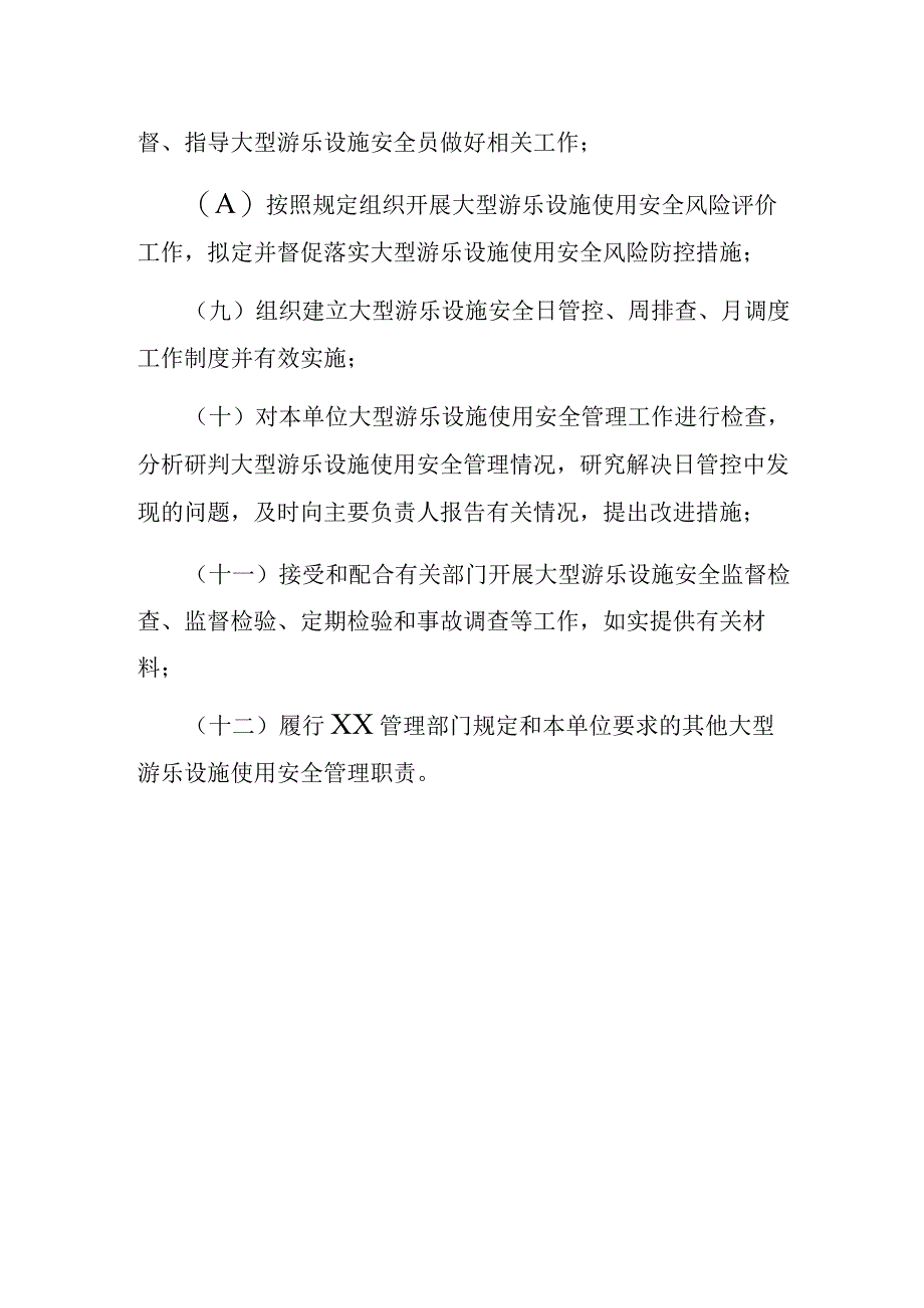 大型游乐设施安全总监职责.docx_第2页